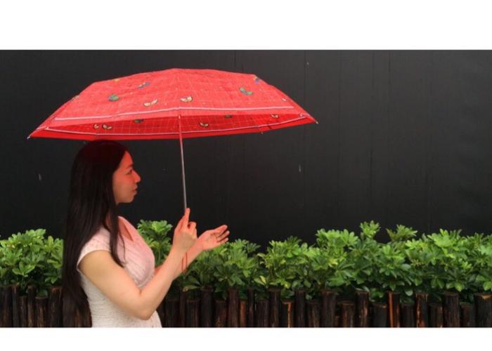 雨中飘落的红雨伞(视频)