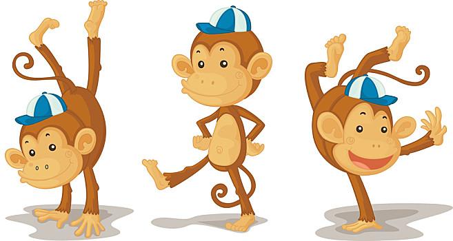 猴子,插画,三个,跳舞