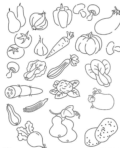 蔬菜简笔画图片