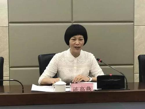 惠州市政府副市长陈高燕代表市政府,向在场的女村委会主任以及辛勤