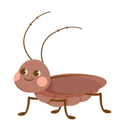 可爱的棕色蟑螂在白色背景下微笑图片