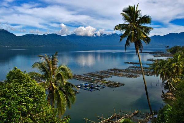 这个夏天,我们一起相约青翠欲滴的绿宝石——苏门答腊岛