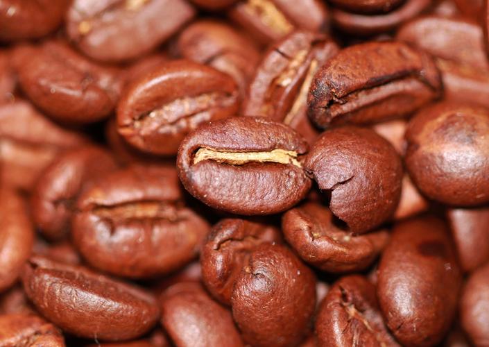 颗粒饱满的咖啡豆图片 第3张 尺寸:3760x2667 (天堂图片网)