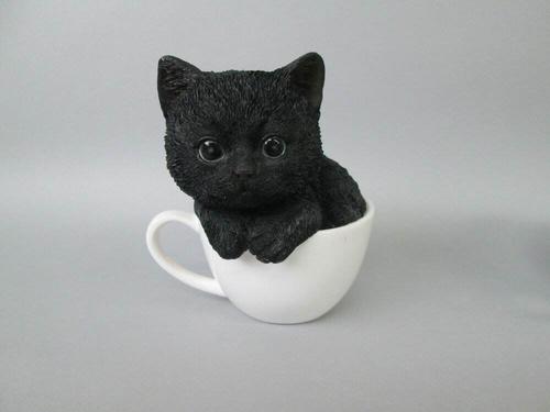 迷你茶杯猫的饲养方法你知道吗?