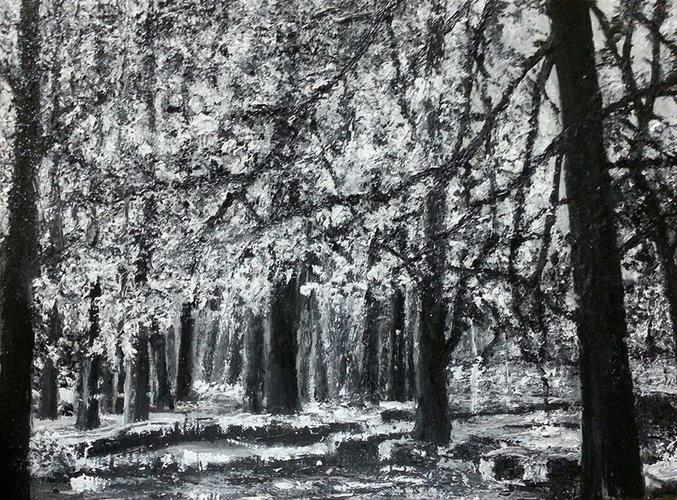 田迎人黑白油画《比利时森林》