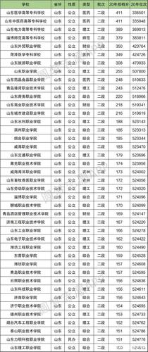 山东省内41所专科大学排名(含录取分数)
