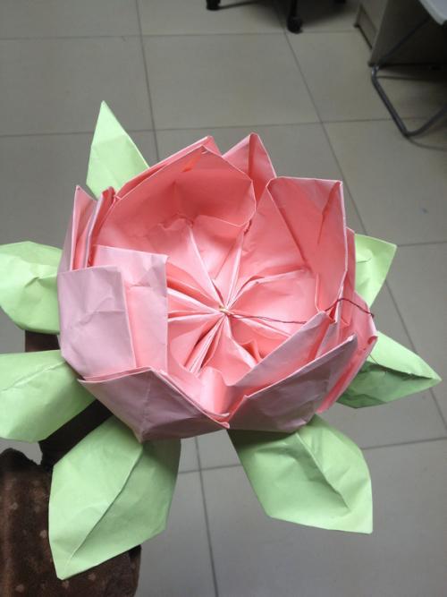 完全手工折纸做出来的的花灯 荷花造型.