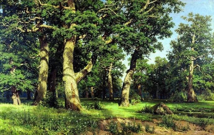 希施金油画描绘的几乎全部都是俄罗斯的树林,他笔下的树木