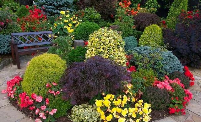 庭院花园花境设计——花境建造准备!|植物|树皮|叶子_网易订阅