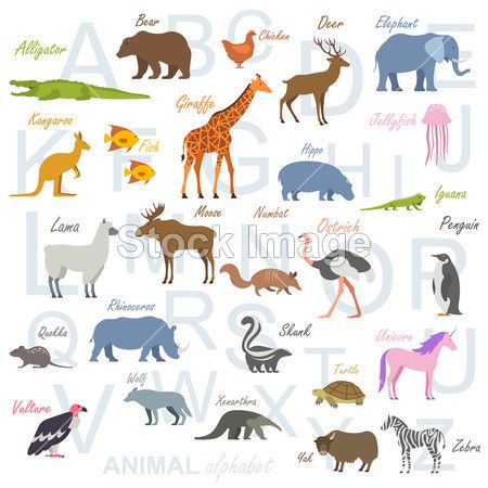 animal alphabet poster for children