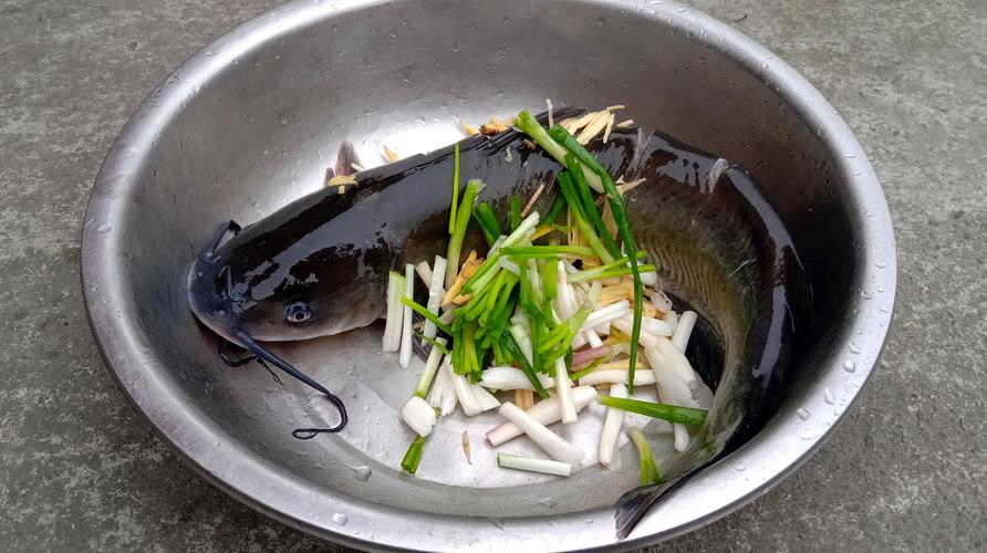 乌江鱼吃了20多年,头一次见这种做法,5斤都不够吃,看饿了