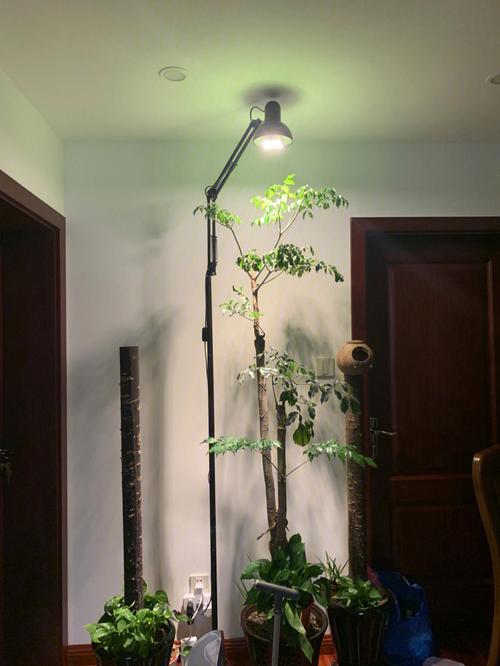 植物补光灯