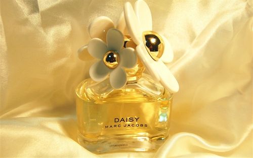 daisy-名牌香水壁纸 浏览:6793