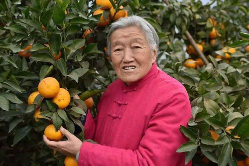 中国有这样一位老太太70岁创业85岁身价过亿她是谁