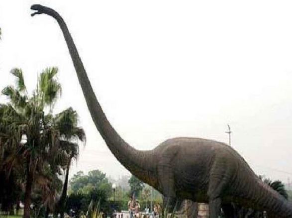 盘点世界上最大的恐龙阿根廷龙居榜首体格是霸王龙的五倍