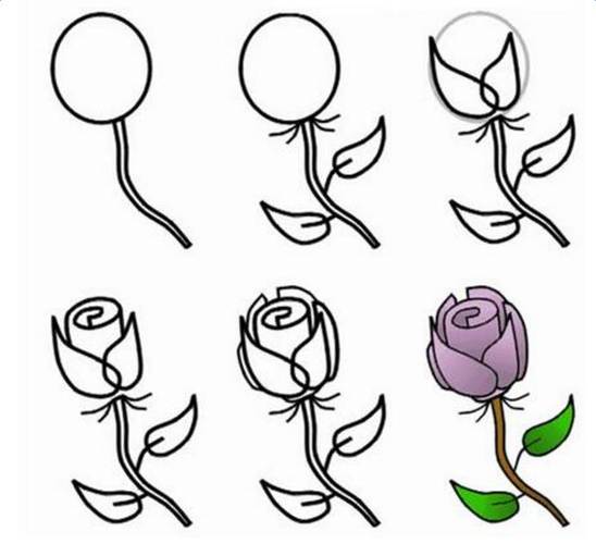 玫瑰花的画法简笔画 玫瑰花画法的图片