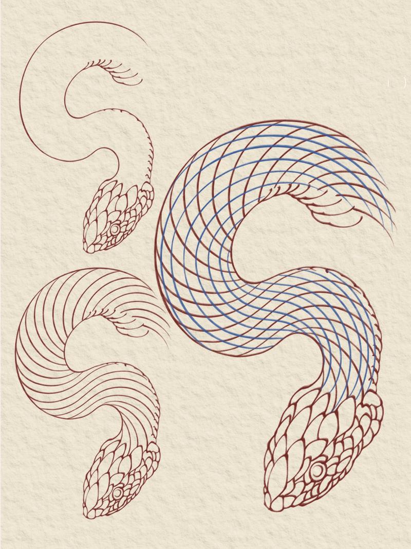 重点来了6015新传统蛇鳞画法 应粉丝要求 特出一期新传统蛇鳞的