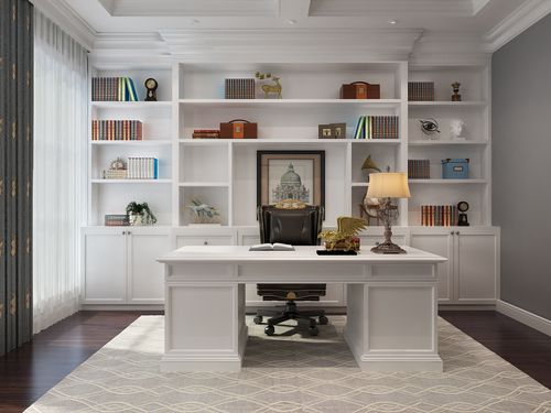 书柜采用开放式设计,一层层隔板既能藏书,又具有展示功能.