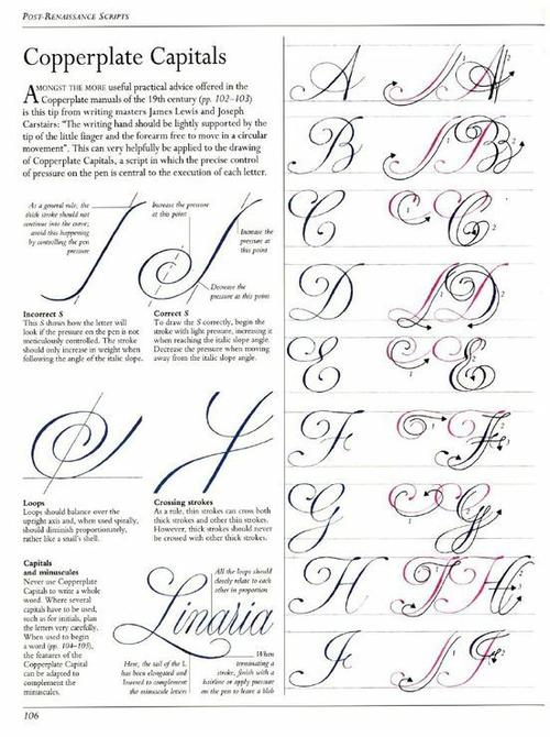 怎么写出好看的花体拉丁字母