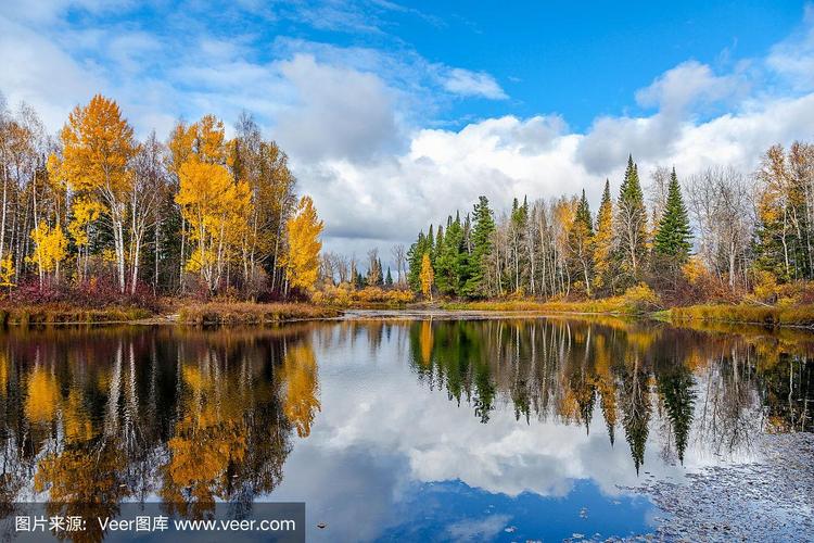 美丽的秋季景观,森林湖泊