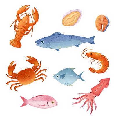 不同种类的海鲜套图卡通餐馆饭馆菜单png素材海鲜插画