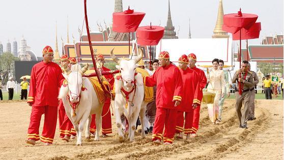 受疫情影响泰国今年春耕节仪式不对公众开放