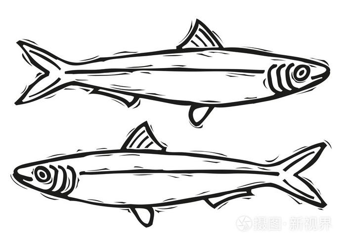 沙丁鱼插画-正版商用图片1i76mf-摄图新视界
