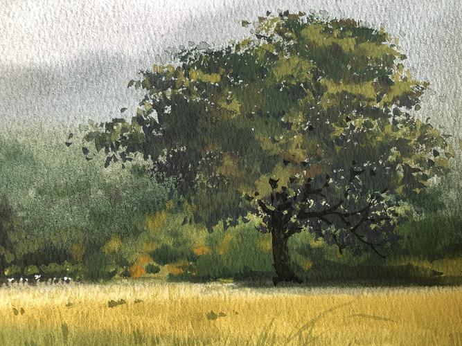 秋天的一棵树 2021|纯艺术|绘画|孙小良的水彩画 - 原创作品 - 站酷