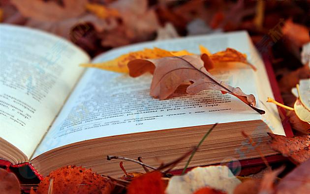 在这张图片中,一把树叶覆盖的打开的书,其中一页树叶