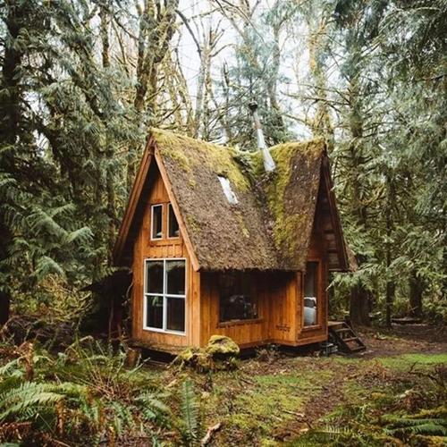 他从22岁开始手工打造小木屋,现已建造了5个独一无二的森林小屋