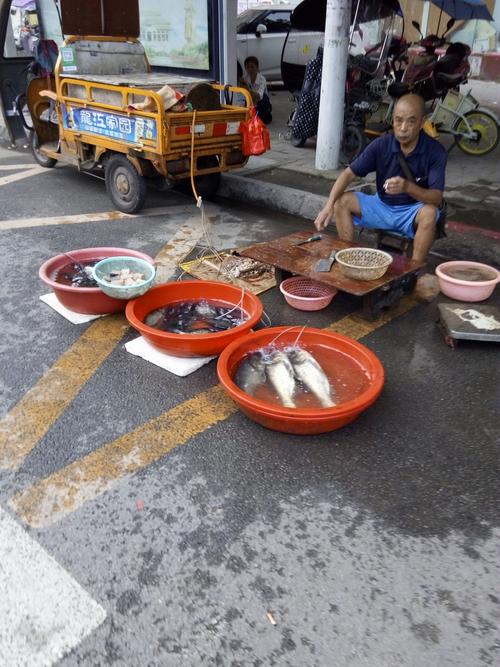 路边卖鱼的大叔说胖头鱼7块鲫鱼11一斤