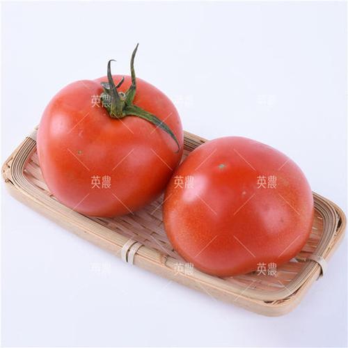 自然熟大个红番茄3个装 商品图3