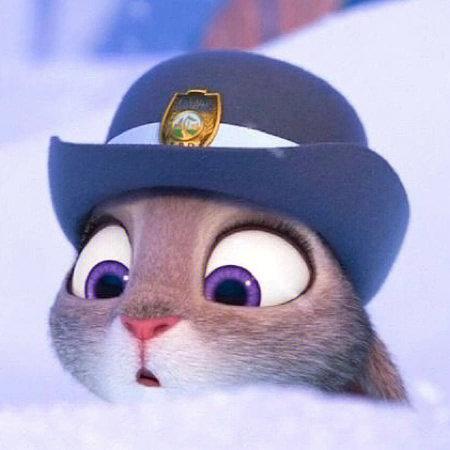 迪士尼动画  #疯狂动物城  #朱迪  #朱迪警官  #兔朱迪狐尼克