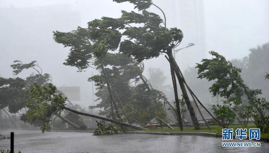 组图强台风登陆海南广东树木拔起树皮剥光