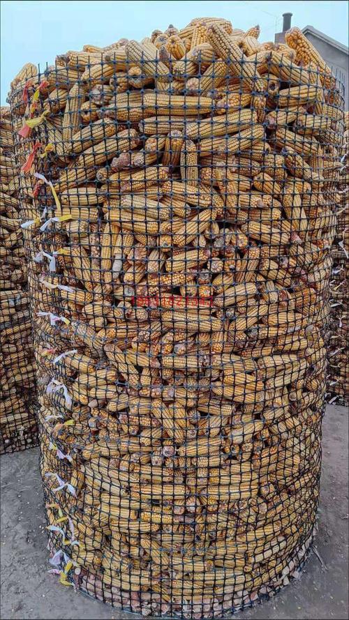 新型圈玉米网架子网风干苞米铁丝网换代养殖围栏土工格栅抗老化锈 1.