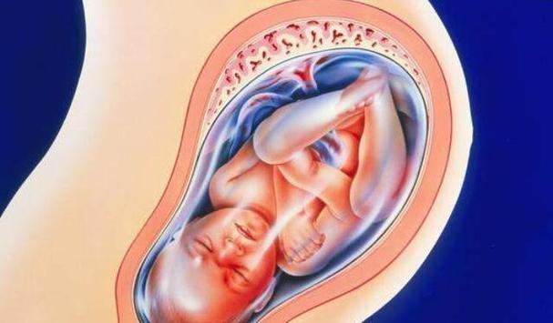 孕36周有两个重要检查是胎儿平安出生的关键孕妇再忙也别错过