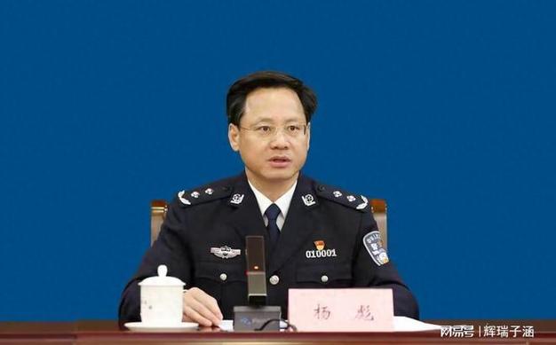 卸任武汉市副市长公安局局长后杨彪新职明确