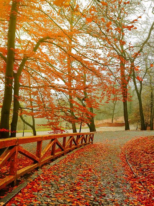 美丽的秋天公园.美丽自然风景