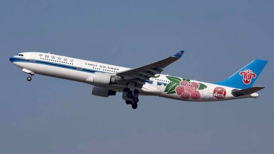 中国南方航空 空客330-300 b-8870"广东荔枝"彩绘海南航空 波音787-9
