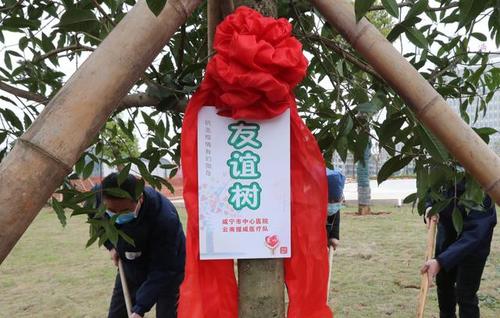 「咸宁传真」今天,他们在咸宁中心医院种下两棵"云咸情"之树