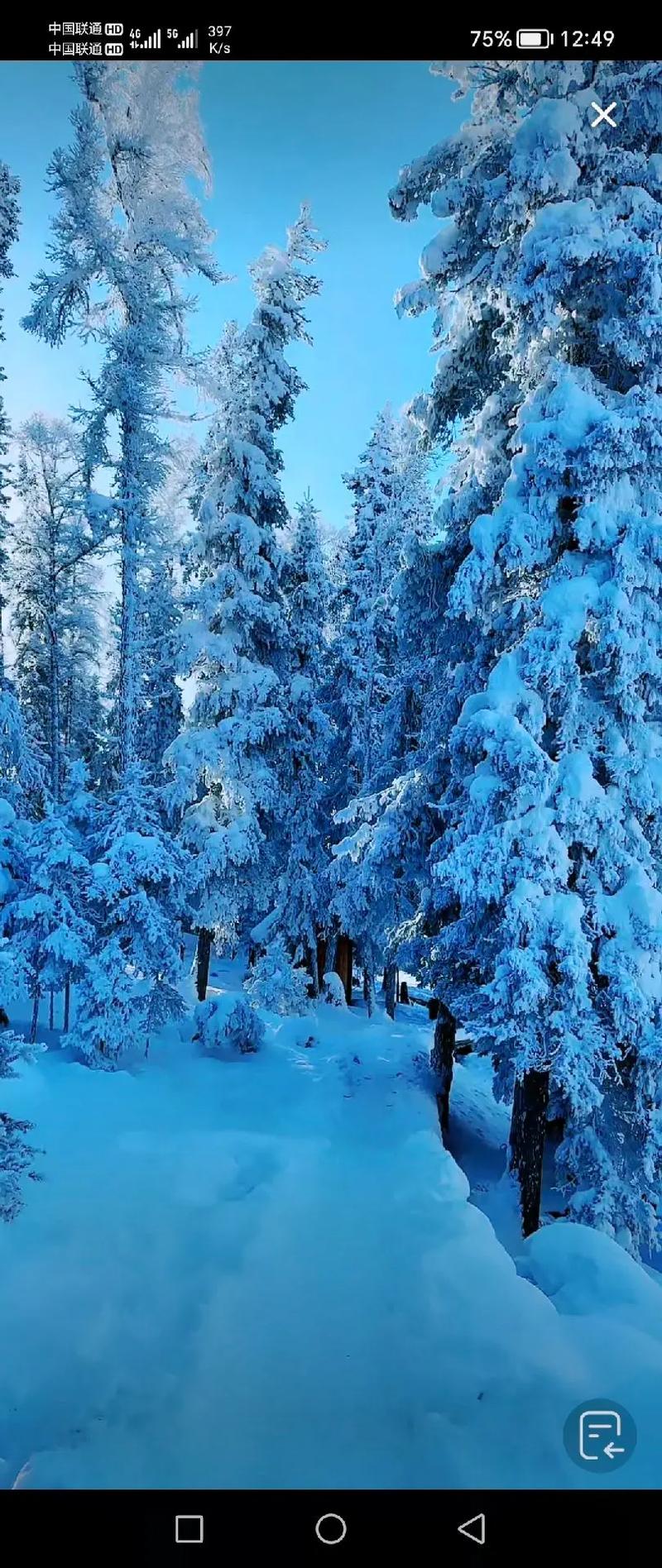 见过这么美丽的雪景吗 ,这就是新疆阿勒泰喀纳斯冬天的雪景, - 抖音