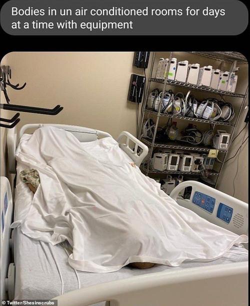 美护士曝得州医院现状病床集中摆放染疫尸体停数日爬蚂蚁