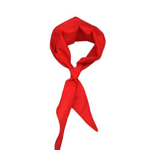 红领巾的含义,红领巾的来历和意义