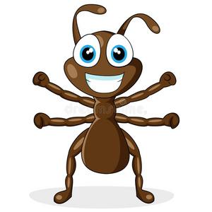 微笑的蚂蚁可爱的棕色小蚂蚁照片