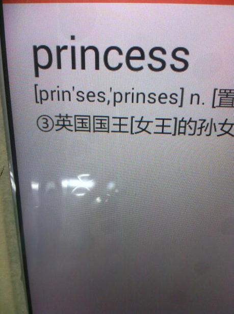 princess   普润赛斯   princess   普润赛斯