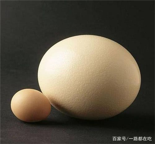 鹌鹑蛋,鸽子蛋,鹅蛋这些,但是有一种"但"吃过的人很少,它就是"鸵鸟蛋"