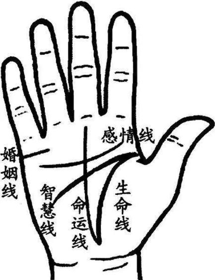 手相基础:几种重要的手纹图解