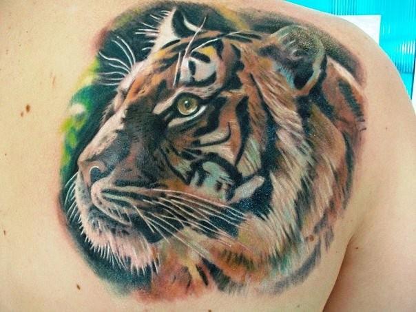 背部美丽的老虎头纹身图案