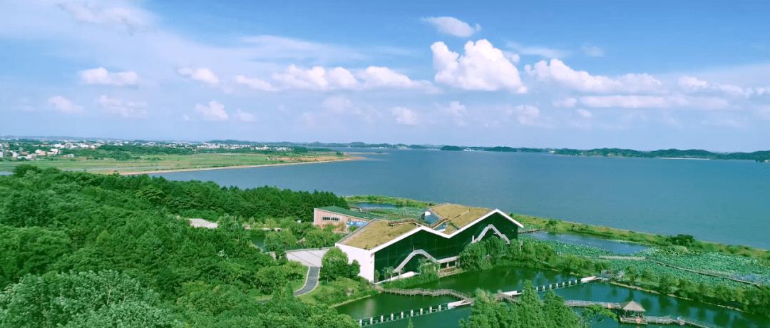 公告丨鄱阳湖国家湿地公园景区于7月18日恢复开放
