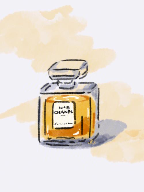 procreate简笔画一瓶chanelno5小香水78